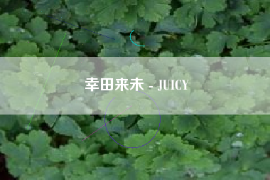 幸田来未-JUICY