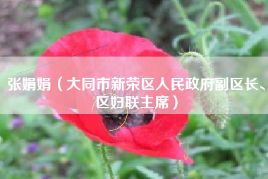 张娟娟（大同市新荣区人民政府副区长、区妇联主席）