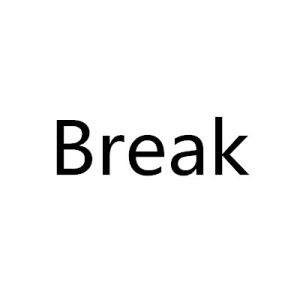 Break（英文单词）