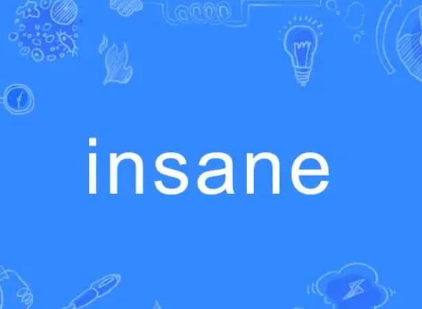insane（英文单词）