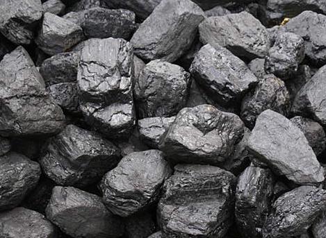 褐煤（煤化程度最低的矿产煤）