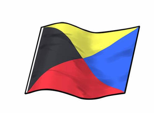z字旗（国际标准旗语术语）