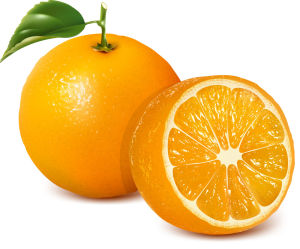 橙子（芸香科柑橘属植物）