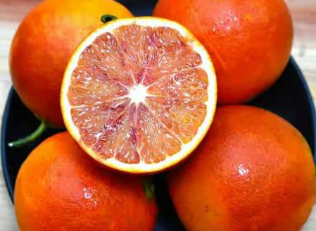 塔罗科血橙（中国大力推广的优良橙类品种）