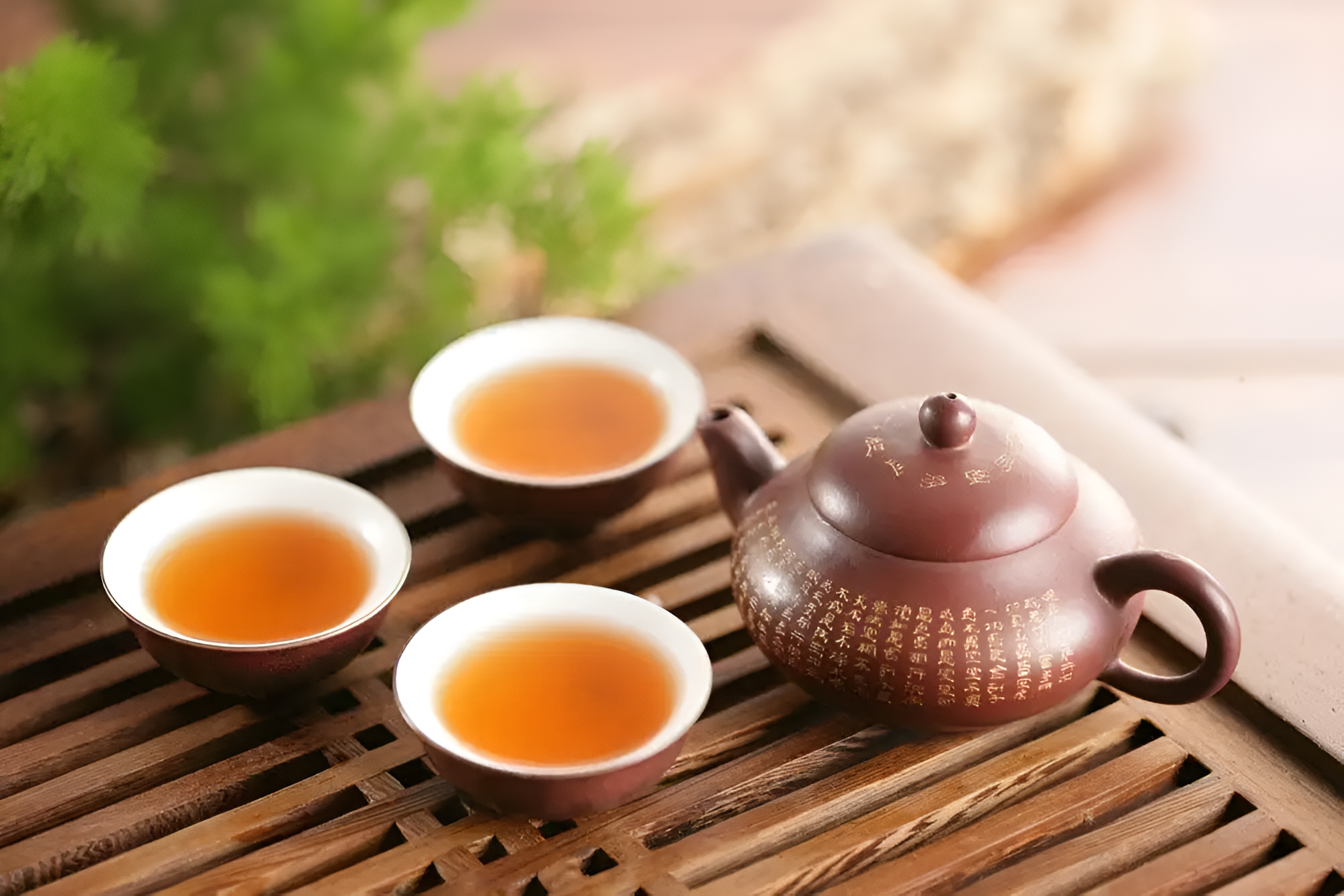 茶艺（中国传统文化）