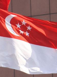 新加坡国旗（一种旗帜）