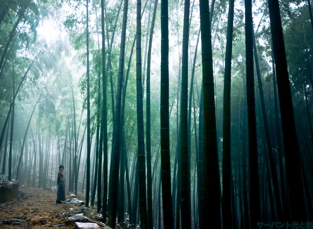 茶山竹海国家森林公园（国家AAAA级风景区）