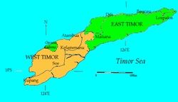 帝汶岛（东南亚努沙登加拉群岛中的岛屿）