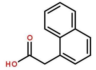萘乙酸（易潮解的有机化合物）