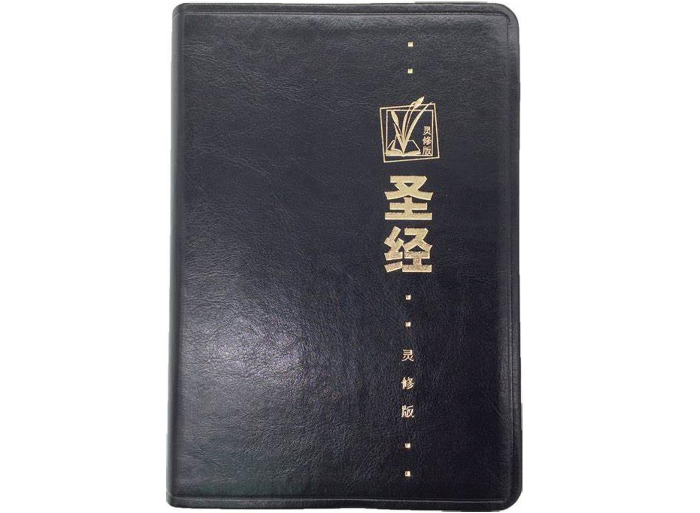 灵修版圣经（2010年中国基督教两会出版的图书）