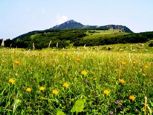 百花山国家级自然保护区（国家级旅游景区）