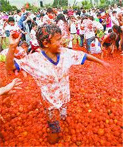 番茄大战（西班牙布尼奥尔镇的传统节日）