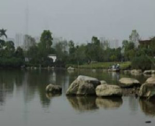 海珠湖公园（广州市知名景区）