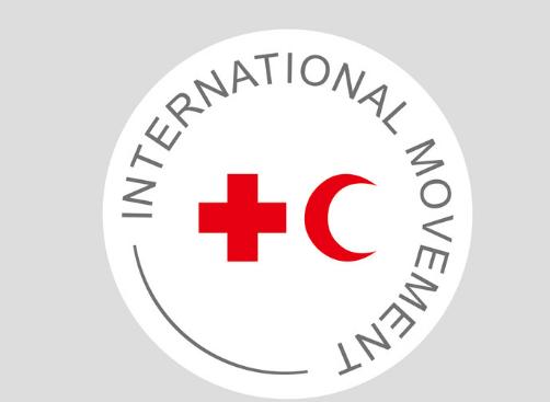 国际红十字会标志（由五人委员会成立）