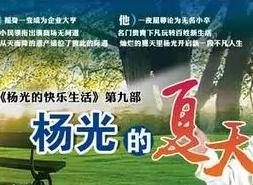 杨光的夏天（2013年由杨议、杨少华主演电视剧）