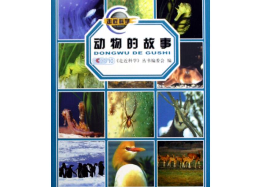 动物的故事（2005年科学普及出版社出版的图书）