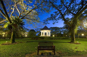新加坡植物园（新加坡南部为荷兰路和内皮尔路的植物园）