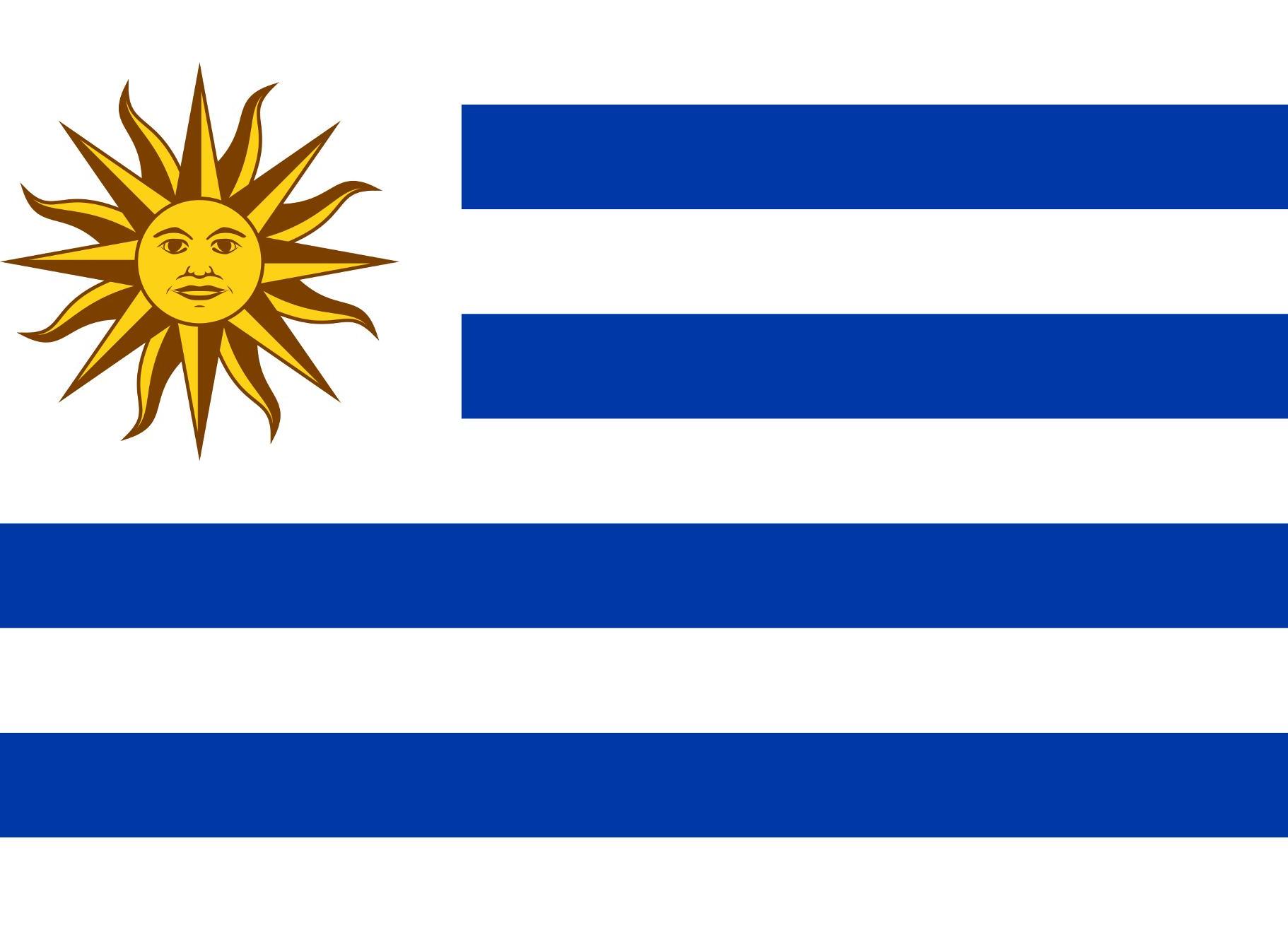 乌拉圭国旗（乌拉圭东岸共和国标志）